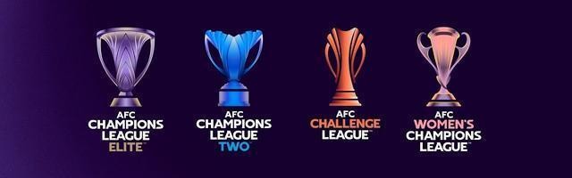 开云体育-中国足协明确新赛季亚冠名额 国安将参加精英联赛附加赛