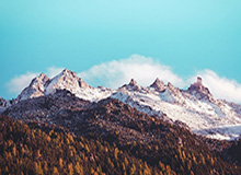 开云平台：让云端生长的土壤，赋能每一个企业